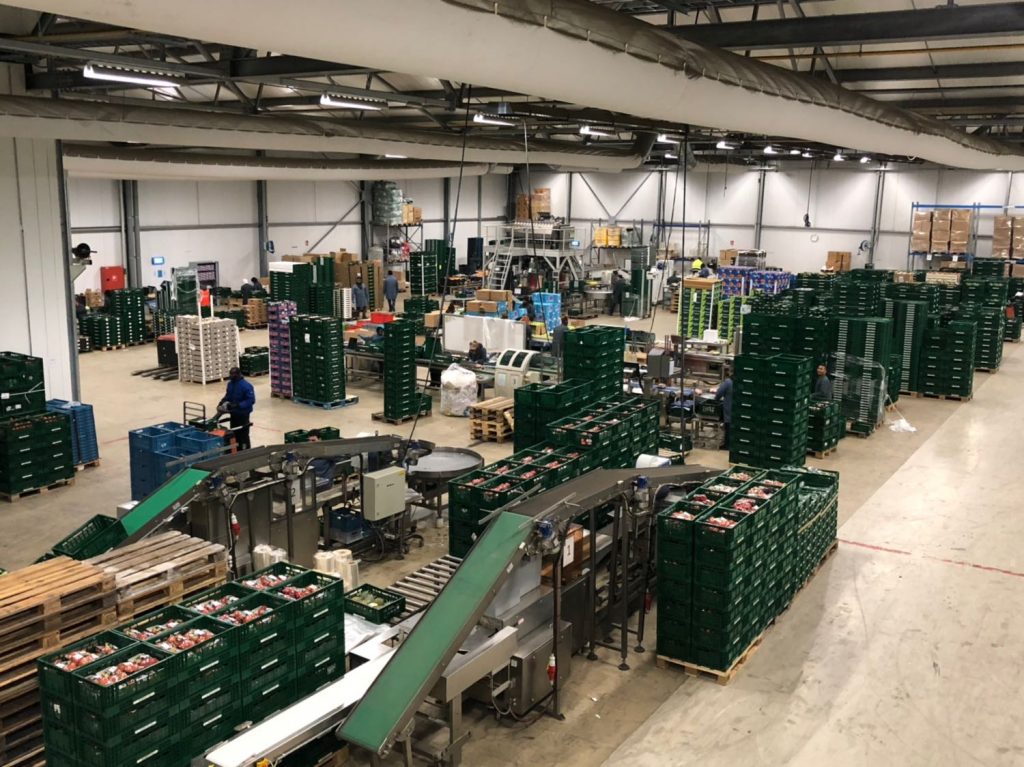 About Premium Fruits & Vegetables